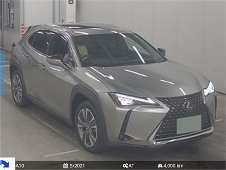 2021 LEXUS UX300E ELECTRIC