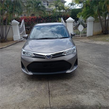 2019 Toyota Corolla Axio