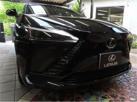 2025 Lexus RZ450E
